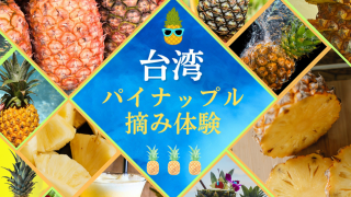 パイナップルページ Amazon.co.jp: チェリオ メガ700パイナップル 700ml ×15本 : 食品